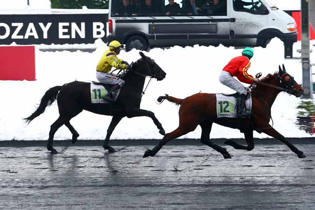 Photo d'arrivée de la course pmu PRIX DE ROZAY-EN-BRIE à PARIS-VINCENNES le Mercredi 7 février 2018