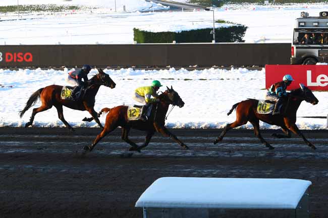 Photo d'arrivée de la course pmu PRIX DE ROMORANTIN à PARIS-VINCENNES le Jeudi 8 février 2018