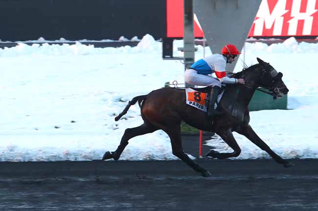 Photo d'arrivée de la course pmu PRIX DE LOUVIERS à PARIS-VINCENNES le Jeudi 8 février 2018
