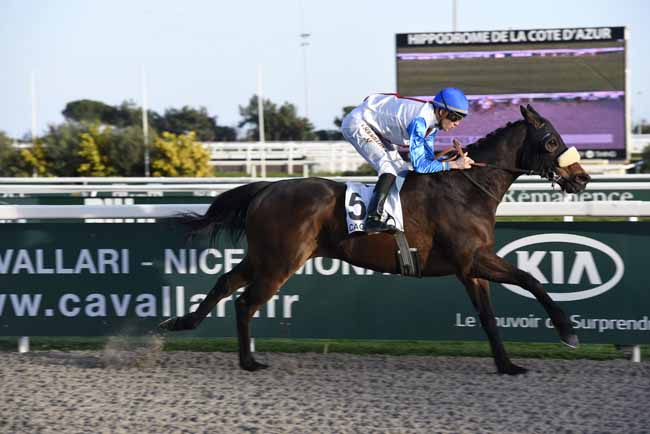 Photo d'arrivée de la course pmu PRIX DES CAMPANULES à CAGNES-SUR-MER le Mercredi 14 février 2018