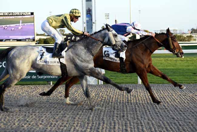 Photo d'arrivée de la course pmu PRIX DU VAUCLUSE à CAGNES-SUR-MER le Mercredi 14 février 2018