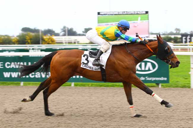 Photo d'arrivée de la course pmu PRIX DES GLYCINES à CAGNES-SUR-MER le Samedi 17 février 2018