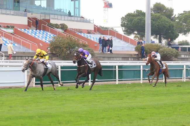 Photo d'arrivée de la course pmu PRIX DE LA CROIX DES GARDES à CAGNES-SUR-MER le Samedi 17 février 2018