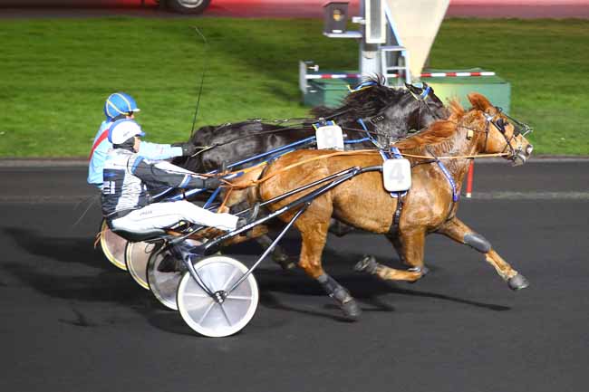 Photo d'arrivée de la course pmu PRIX DES TROTTEURS 