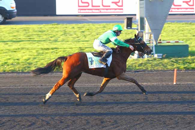 Photo d'arrivée de la course pmu PRIX DU PONTAVICE DE HEUSSEY à PARIS-VINCENNES le Dimanche 18 février 2018