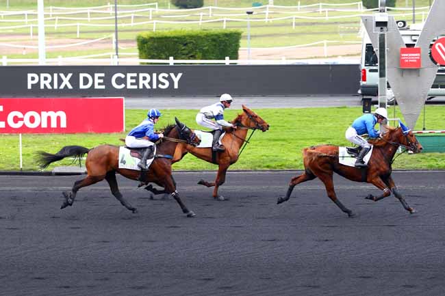 Photo d'arrivée de la course pmu PRIX DE CERISY à PARIS-VINCENNES le Mardi 20 février 2018