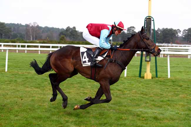 Photo d'arrivée de la course pmu PRIX DE LA SOCIETE DES COURSES DE PAU à FONTAINEBLEAU le Mardi 20 février 2018