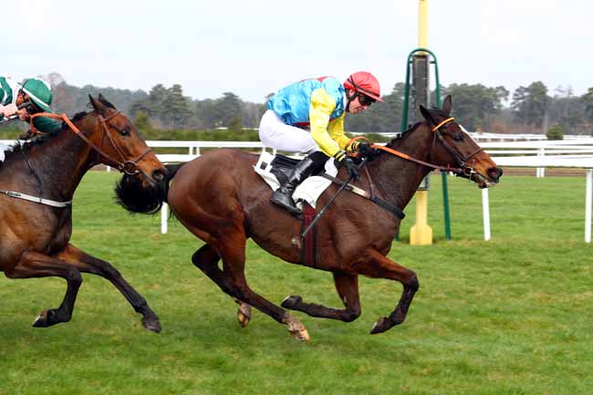 Photo d'arrivée de la course pmu PRIX DE LA COMMUNAUTE D'AGGLOMERATION DU PAYS DE FONTAINEBLEAU à FONTAINEBLEAU le Mardi 20 février 2018