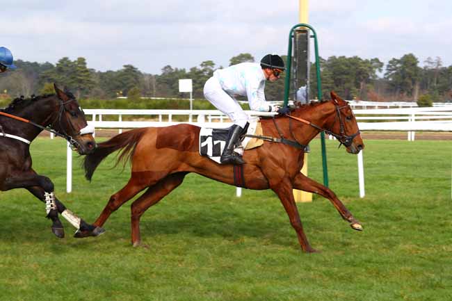 Photo d'arrivée de la course pmu PRIX GENERAL MARION à FONTAINEBLEAU le Mardi 20 février 2018