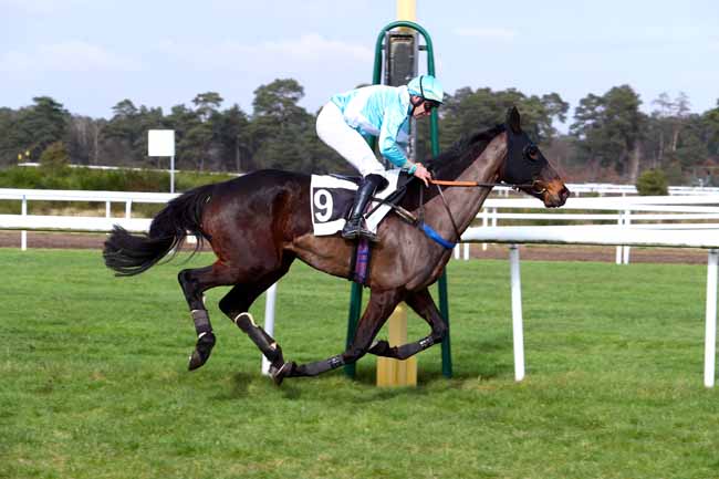 Photo d'arrivée de la course pmu PRIX DE L'IMPERATRICE EUGENIE à FONTAINEBLEAU le Mardi 20 février 2018