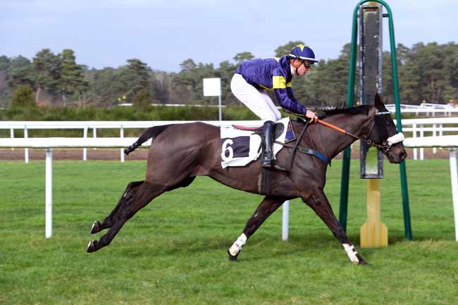 Photo d'arrivée de la course pmu PRIX DU CANTON DE FONTAINEBLEAU à FONTAINEBLEAU le Mardi 20 février 2018