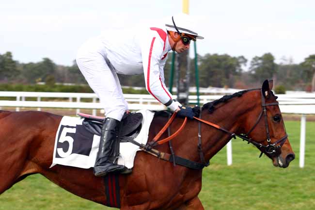 Photo d'arrivée de la course pmu PRIX DU CONSEIL MUNICIPAL DE CHAILLY-EN-BIERE à FONTAINEBLEAU le Mardi 20 février 2018