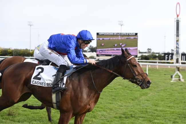 Photo d'arrivée de la course pmu PRIX DE LA PRINCIPAUTE DE MONACO à CAGNES-SUR-MER le Mercredi 21 février 2018
