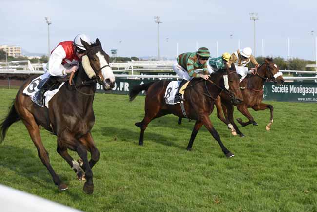 Photo d'arrivée de la course pmu PRIX MOTEL ASCOT - WWW.MOTELASCOT.FR à CAGNES-SUR-MER le Mercredi 21 février 2018