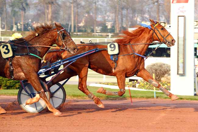Photo d'arrivée de la course pmu PRIX DE NOIRMOUTIER à ENGHIEN le Mercredi 21 février 2018