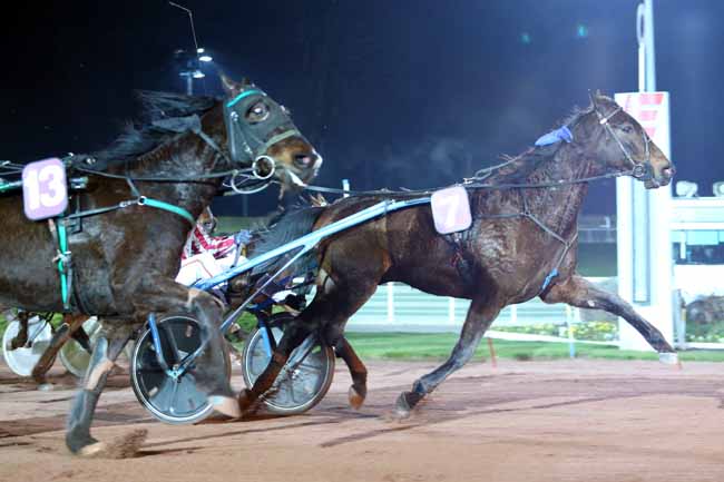 Photo d'arrivée de la course pmu PRIX DE GIRAUMONT à ENGHIEN le Mercredi 21 février 2018