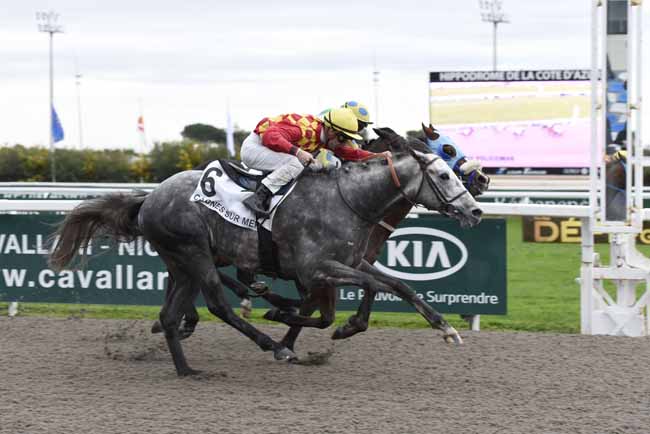 Photo d'arrivée de la course pmu PRIX POLICEMAN à CAGNES-SUR-MER le Samedi 24 février 2018