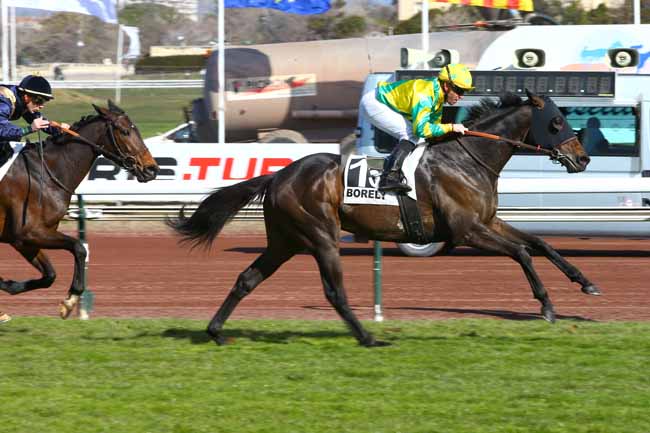 Photo d'arrivée de la course pmu HANDICAP DE MARSEILLE-BORELY à MARSEILLE-BORELY le Lundi 26 février 2018