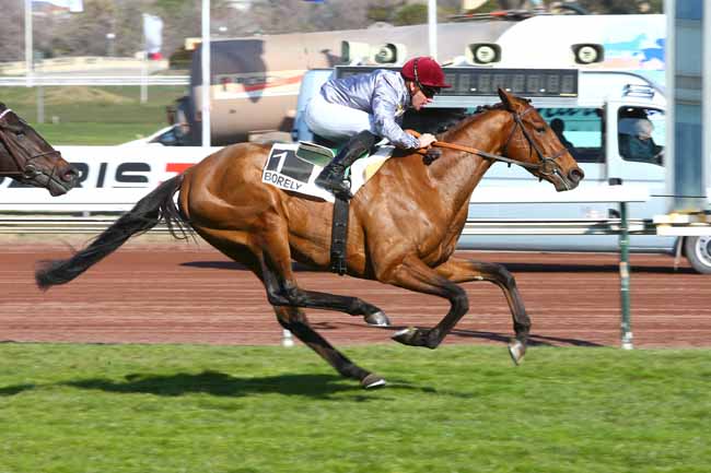 Photo d'arrivée de la course pmu PRIX DE CARRO à MARSEILLE-BORELY le Lundi 26 février 2018