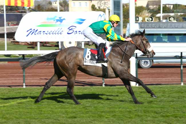 Photo d'arrivée de la course pmu PRIX DE CALAS à MARSEILLE-BORELY le Lundi 26 février 2018