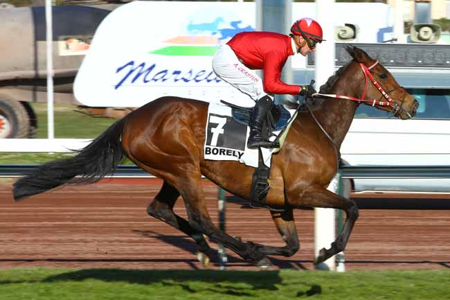 Photo d'arrivée de la course pmu PRIX DE CABRIES à MARSEILLE-BORELY le Lundi 26 février 2018