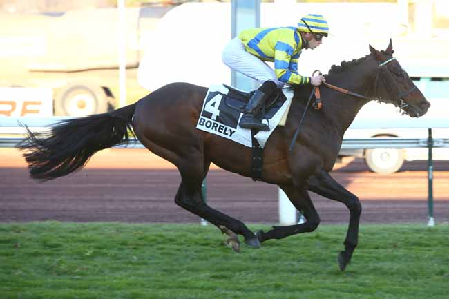 Photo d'arrivée de la course pmu PRIX DE LYON LA SOIE à MARSEILLE-BORELY le Lundi 26 février 2018