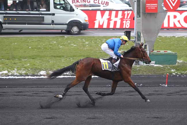 Photo d'arrivée de la course pmu PRIX ALI HAWAS à PARIS-VINCENNES le Jeudi 1 mars 2018