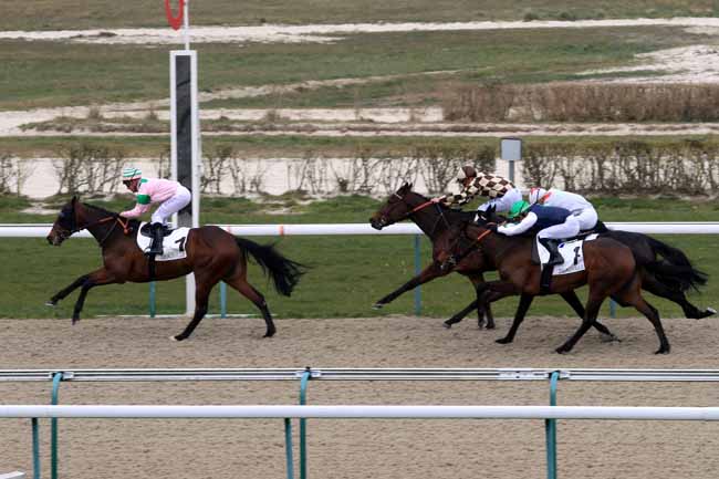 Photo d'arrivée de la course pmu PRIX DU PERCHE à DEAUVILLE le Jeudi 1 mars 2018