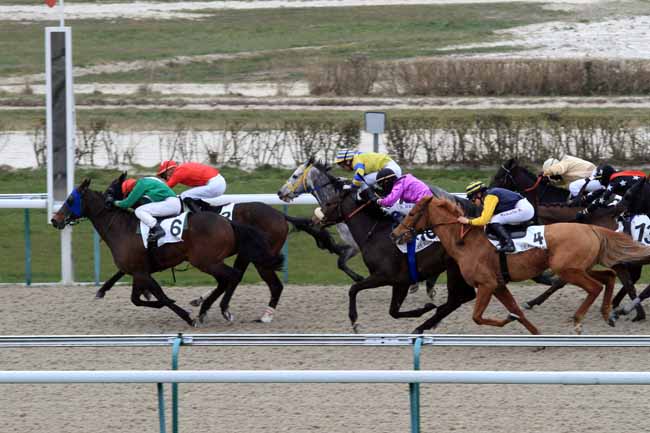 Photo d'arrivée de la course pmu PRIX DU CAP GRIS NEZ à DEAUVILLE le Jeudi 1 mars 2018
