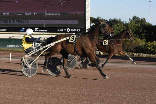 Photo d'arrivée de la course pmu PRIX D'UPPSALA à CAGNES-SUR-MER le Vendredi 2 mars 2018