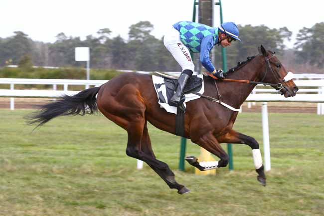 Photo d'arrivée de la course pmu PRIX DES DAGUETS à FONTAINEBLEAU le Samedi 3 mars 2018
