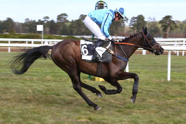 Photo d'arrivée de la course pmu PRIX JACQUES GELIOT à FONTAINEBLEAU le Samedi 3 mars 2018