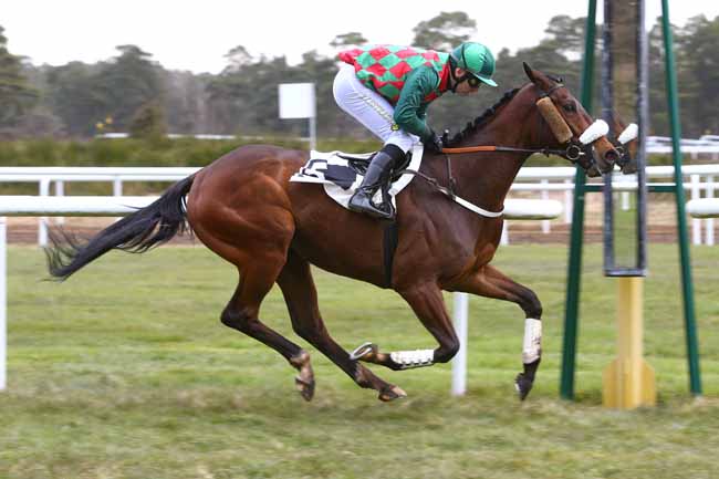 Photo d'arrivée de la course pmu PRIX COLONEL JEAN DE ROYER à FONTAINEBLEAU le Samedi 3 mars 2018