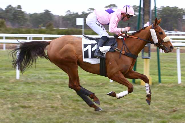 Photo d'arrivée de la course pmu PRIX DE BOULIGNY à FONTAINEBLEAU le Samedi 3 mars 2018