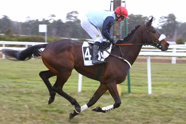 Photo d'arrivée de la course pmu PRIX DES HERONNIERES à FONTAINEBLEAU le Samedi 3 mars 2018