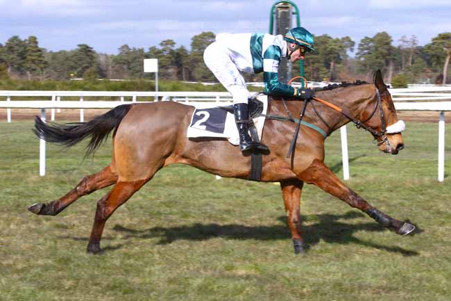 Photo d'arrivée de la course pmu PRIX CAPITAINE LABONDE à FONTAINEBLEAU le Samedi 3 mars 2018