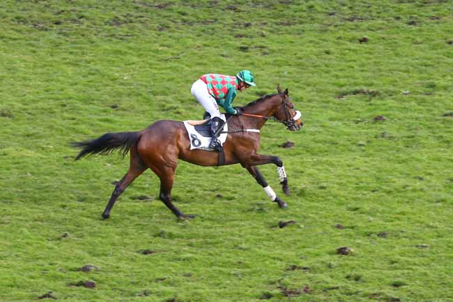 Photo d'arrivée de la course pmu PRIX ROBERT DE CLERMONT-TONNERRE à AUTEUIL le Dimanche 4 mars 2018