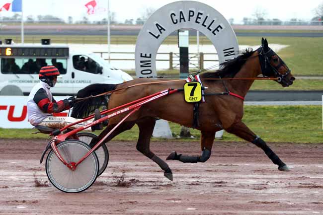 Photo d'arrivée de la course pmu GRAND NATIONAL DU TROT PARIS-TURF à LA CAPELLE le Mercredi 7 mars 2018