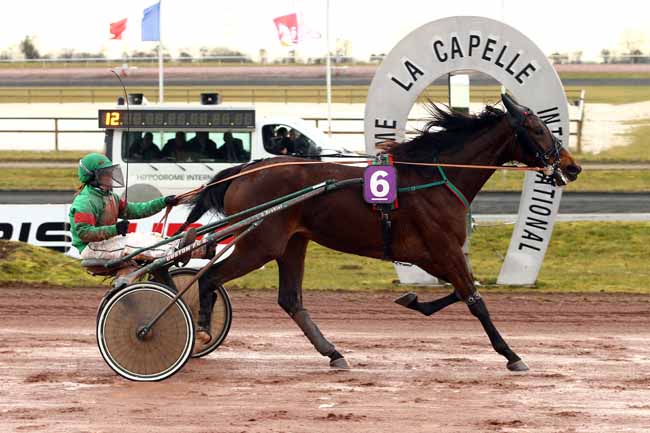 Photo d'arrivée de la course pmu PRIX PMU LE NOUVION à LA CAPELLE le Mercredi 7 mars 2018
