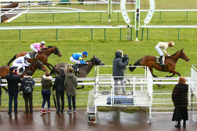 Photo d'arrivée de la course pmu PRIX DE COURTIEUX à COMPIEGNE le Mercredi 7 mars 2018