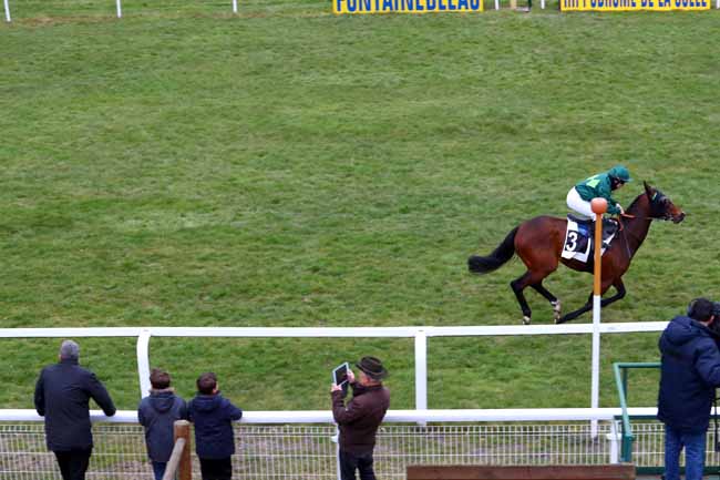 Photo d'arrivée de la course pmu PRIX DE MALESHERBES à FONTAINEBLEAU le Jeudi 8 mars 2018