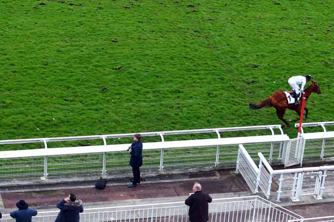 Photo d'arrivée de la course pmu PRIX VENTRILOQUE à AUTEUIL le Samedi 10 mars 2018