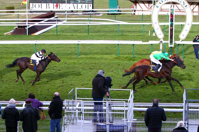 Photo d'arrivée de la course pmu PRIX DE L'AILETTE à COMPIEGNE le Lundi 12 mars 2018