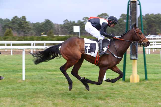 Photo d'arrivée de la course pmu PRIX DE MONTIGNY-SUR-LOING à FONTAINEBLEAU le Mardi 13 mars 2018