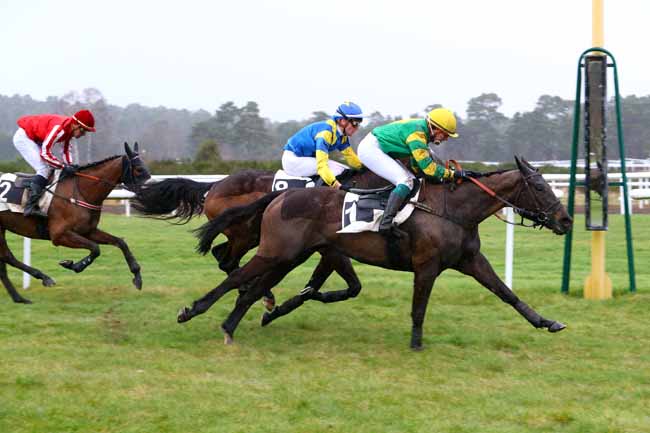 Photo d'arrivée de la course pmu PRIX DE PROVINS à FONTAINEBLEAU le Mardi 13 mars 2018