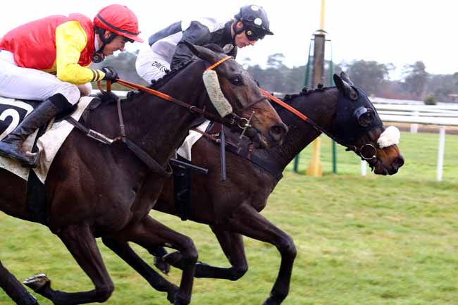 Photo d'arrivée de la course pmu PRIX GASTON DE LA MOTTE à FONTAINEBLEAU le Mardi 13 mars 2018