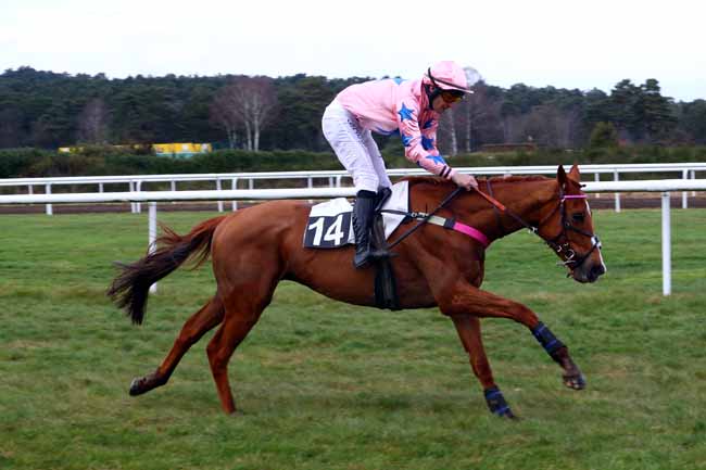 Photo d'arrivée de la course pmu PRIX DE SERMAISE à FONTAINEBLEAU le Mardi 13 mars 2018