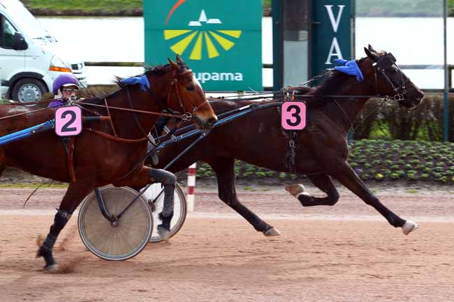 Photo d'arrivée de la course pmu PRIX DU COMITE DEPARTEMENTAL DU TOURISME DE LA MAYENNE à LAVAL le Mercredi 14 mars 2018