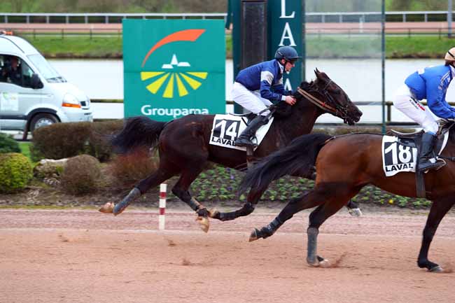 Photo d'arrivée de la course pmu PRIX DE LA SOCIETE DU CHEVAL FRANCAIS à LAVAL le Mercredi 14 mars 2018