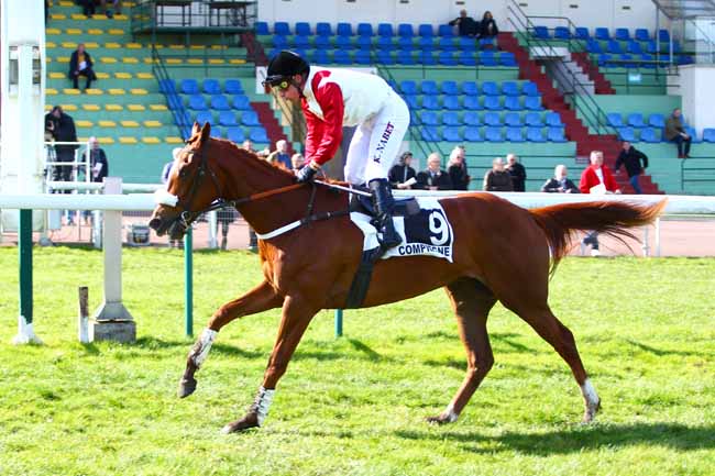 Photo d'arrivée de la course pmu PRIX D'ESSAI DES POULICHES à COMPIEGNE le Mercredi 14 mars 2018